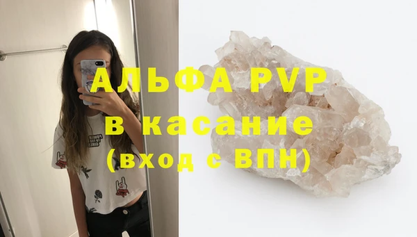гидра Алексин