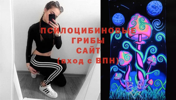 гидра Алексин