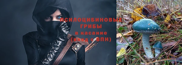 гидра Алексин