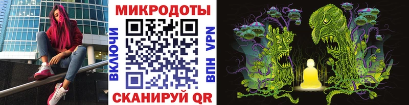 купить наркоту  Нюрба  Псилоцибиновые грибы мицелий 